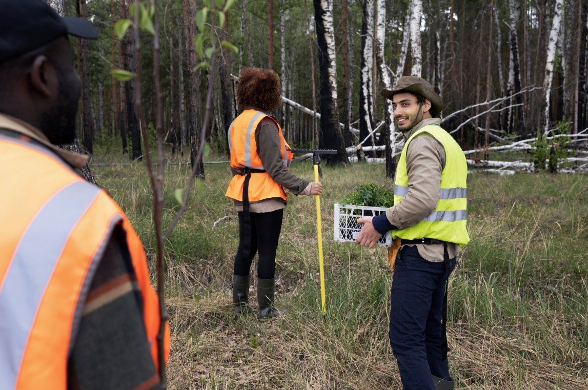 Topographic Surveys